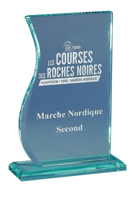 Trophée Verre Personnalisé 169-11-CLI