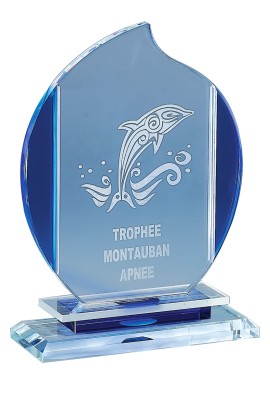 Trophée Verre Personnalisé 171-61DE-LO