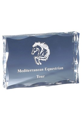 Trophée Acryglass Personnalisé 177-01-CLI