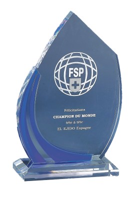 Trophée Acryglass Personnalisé 179-41-LO