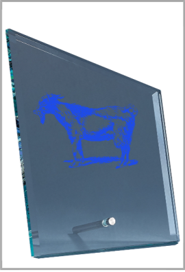 Trophée Verre Personnalisé 152-21-SU