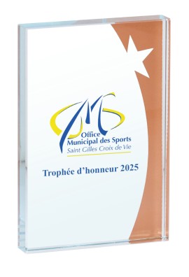 Trophée Verre Personnalisé 154-11-SU