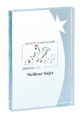 Trophée Verre Personnalisé 154-12-LO
