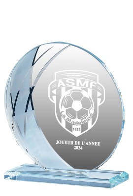 Trophée Verre Personnalisé 161-12-LO