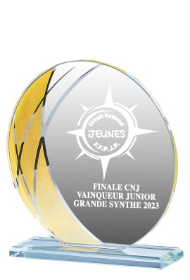 Trophée Verre Personnalisé 161-13-CLI