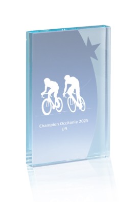 Trophée Verre Personnalisé 168-32-CLI