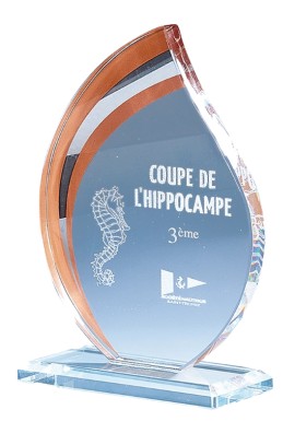 Trophée Verre Personnalisé 170-01-CLI