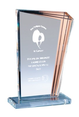 Trophée Verre Personnalisé 172-41-LO