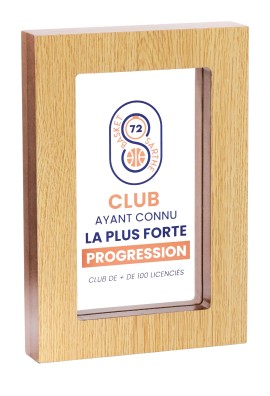 Trophée Acryglass & Bois Personnalisé 150-11-SU