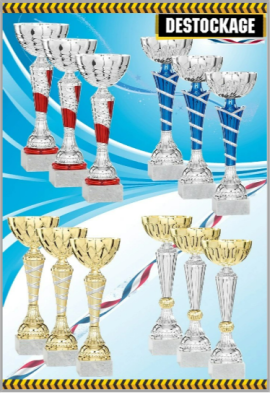 Lot de 12 Coupes : 2022-516