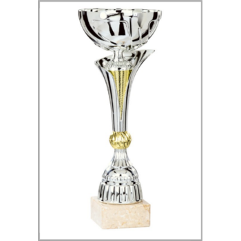 picture_320160_343825