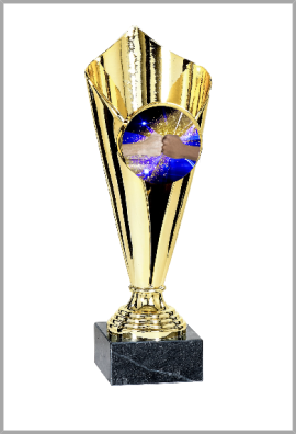 Coupe ABS Personnalisée : 0741-C