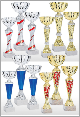 Lot de 12 Coupes : 2025-5