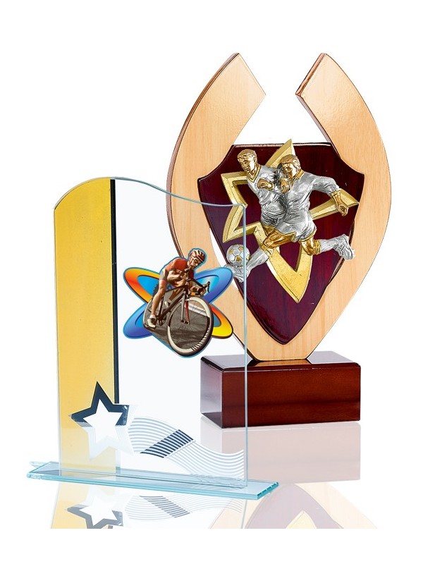 TROPHÉES PERSONNALISÉS APLLIQUES