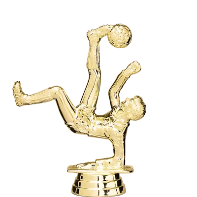 Trophée Personnalisé Figurine 143-71-D