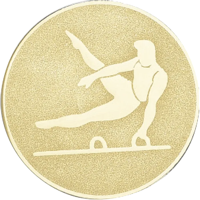Plaque de distinction : 185-46C