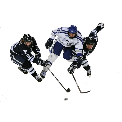 Trophée Bois Personnalisé  : BW31-SU