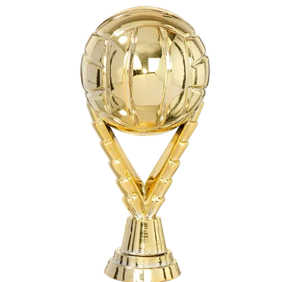Trophée Personnalisé Figurine 144-31-D