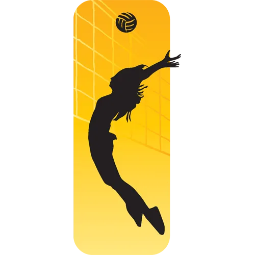Trophée Bois Personnalisé  : BW21-SU